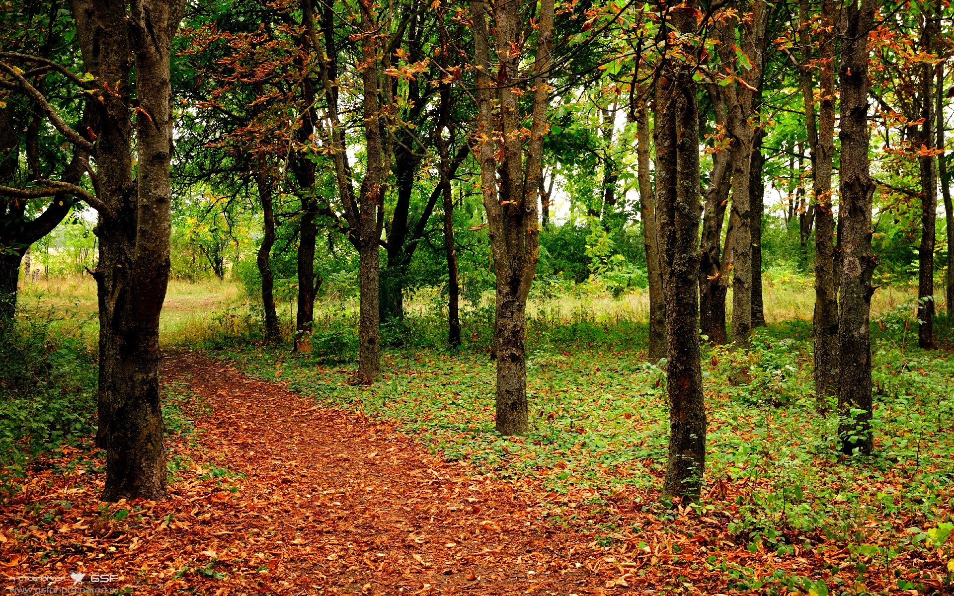 爱游戏官方-中国男足在巴黎奥运会比赛中以3-0击败几内亚，奥运会足球赛中国男足