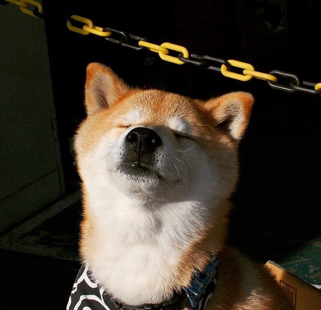 爱游戏体育app-亚洲杯：决赛大战引发全民热潮，亚洲杯赛程2021决赛