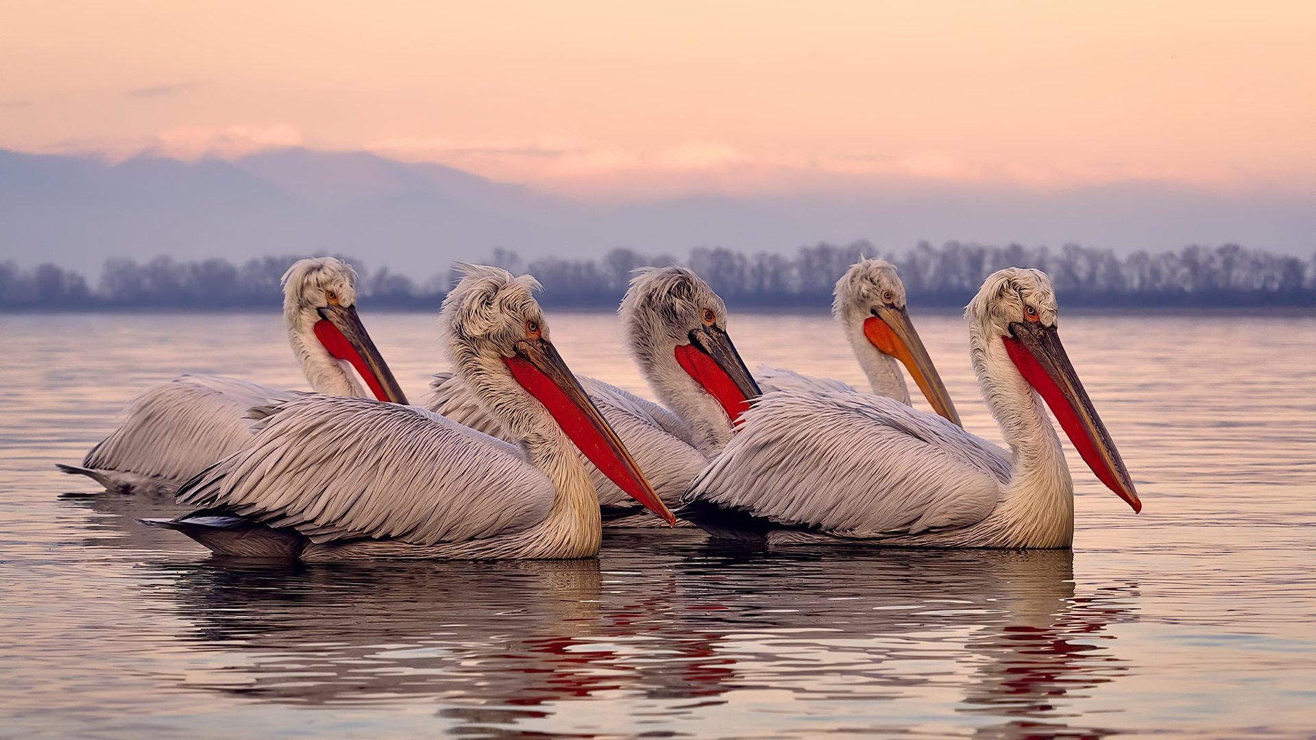 AYX体育-中国青训教练员体系不断完善，专业化水平提升，职业梯队青训教练招聘
