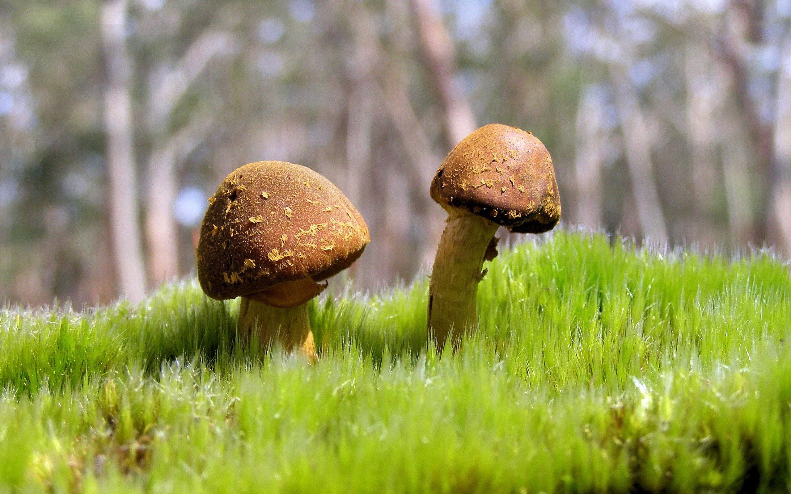 爱游戏中国官方网站平台-中国青训体系“走出去”，推广国际先进青训理念，青训体系是什么