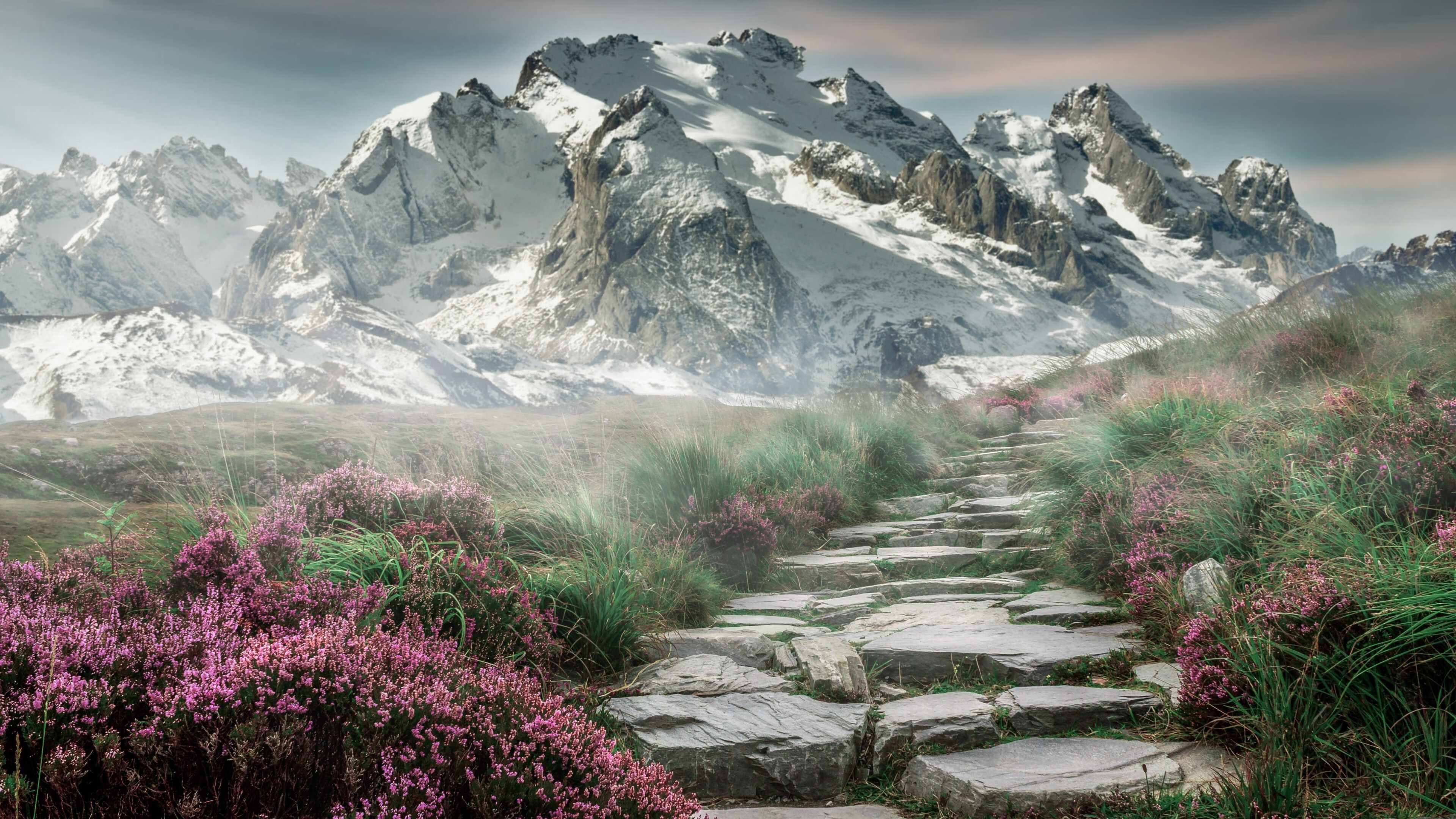 -篮板优势：北京抢到48个篮板，战术掌控场面！，北京篮球票