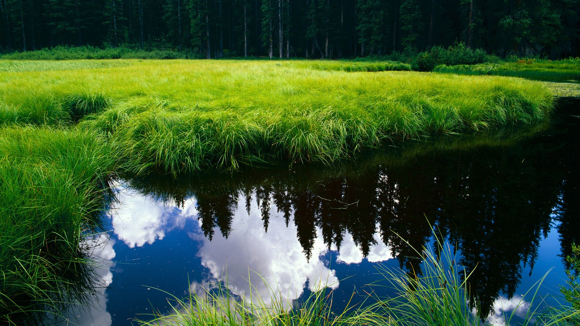 爱游戏app下载-篮球球员伤病预防与康复技术研究，篮球运动员运动损伤的类型