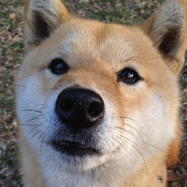 AYXSPORTSAPP-立陶宛战白俄罗斯，欧洲国家联赛实力对决，立陶宛对俄发出强硬警告