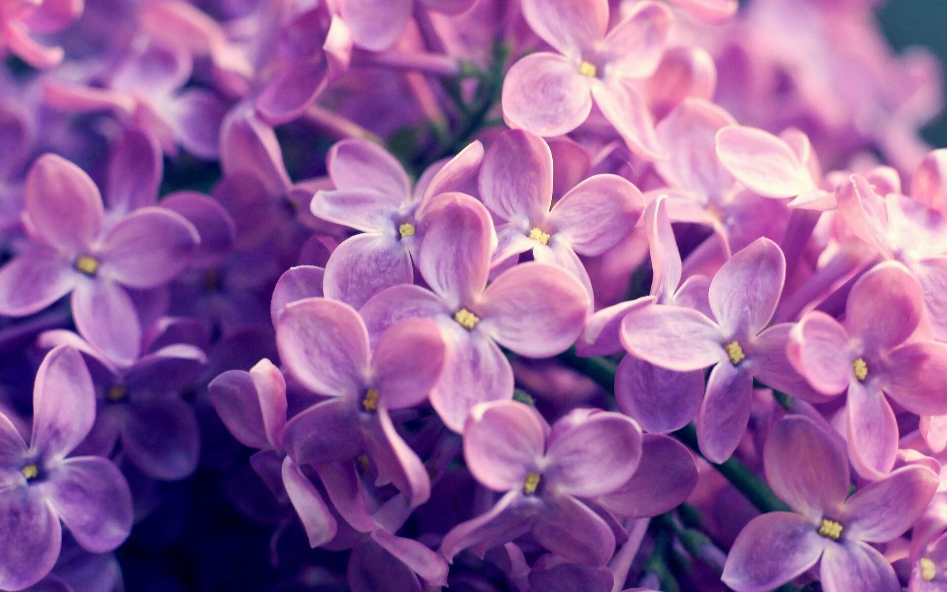 爱游戏官方-伊朗男足在巴黎奥运会上表现出色，赢得银牌，21年伊朗男足大名单