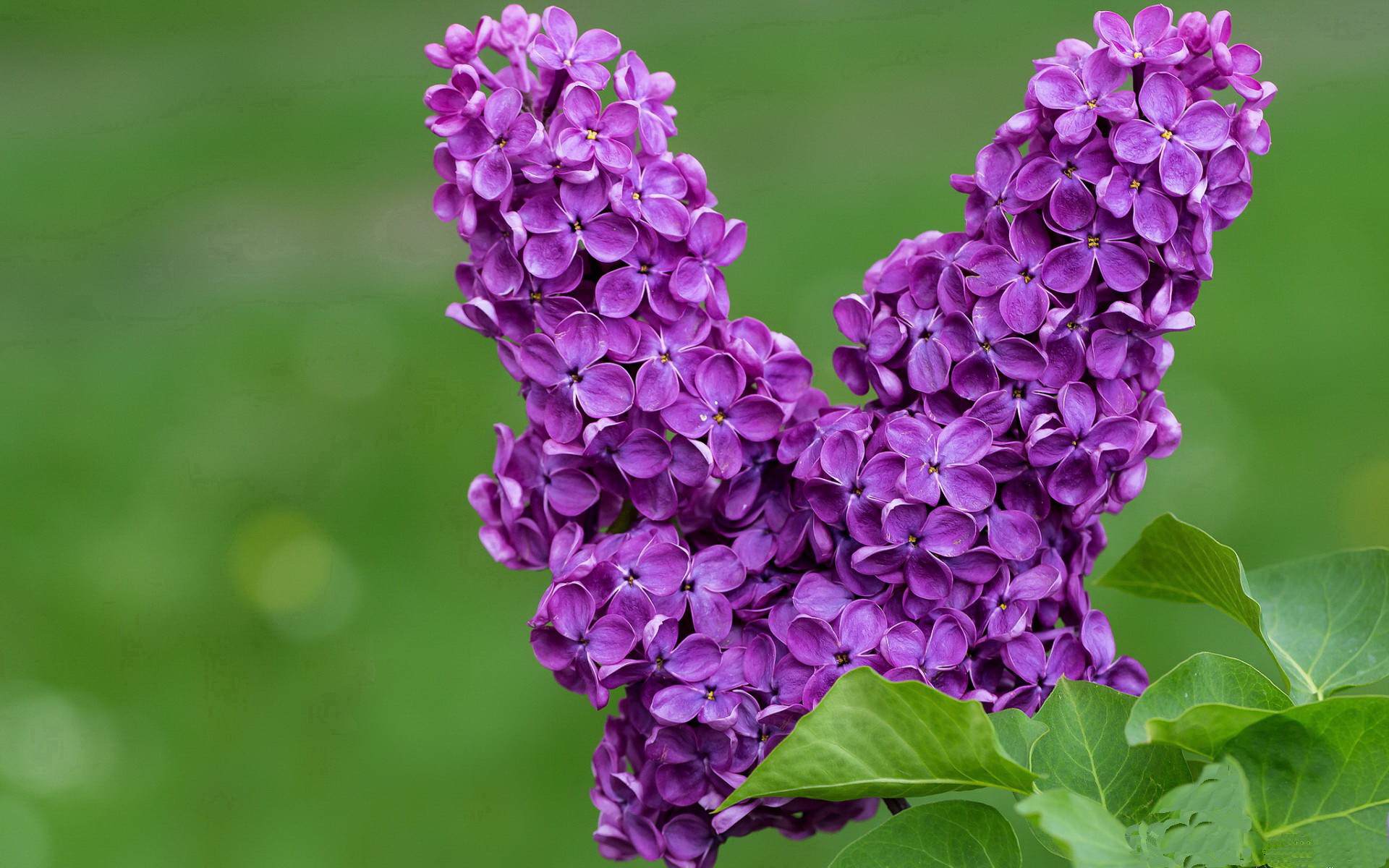 爱游戏体育APP下载-中国香港队赛制解析：如何通过精准战术应对世界强队，香港队伍