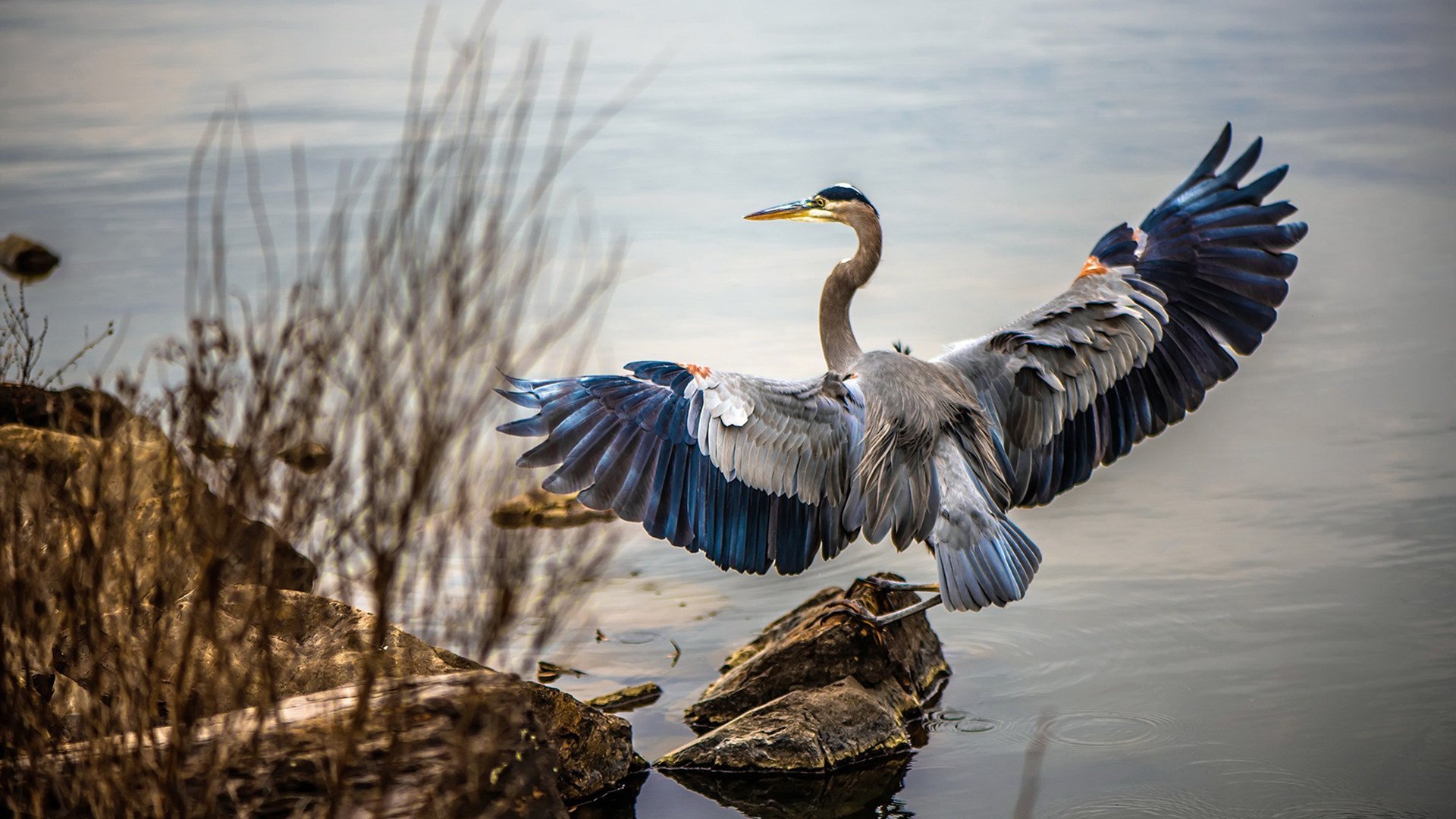 AYX SPORTS-印度赛制剖析：培养国际级乒乓选手的关键要素，印度乒乓球员