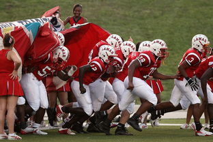 爱游戏体育APP下载-国家队技战术水平提升瓶颈，国家技巧队