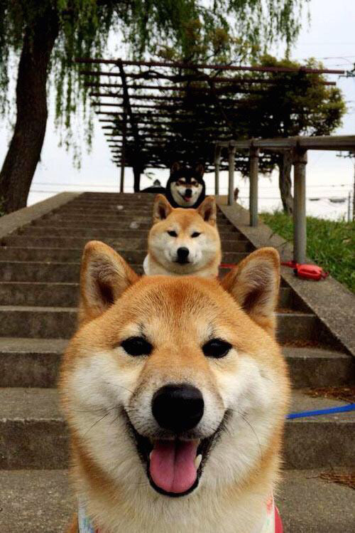 AYX GAME-控球回撤幅度是否影响边路纵深推进质量，控球率高就能取胜吗