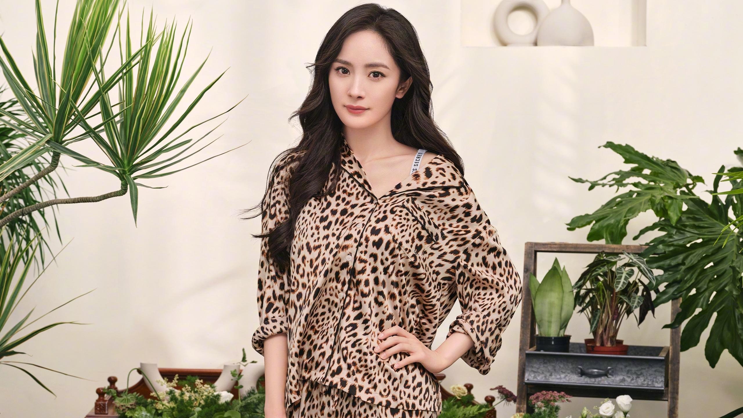 爱游戏娱乐-辽宁飞豹持续提升转移球速度打乱对手阵型，辽宁飞豹队员名单