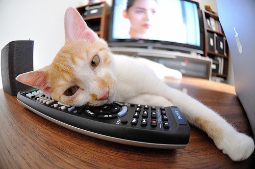 AYX体育官网-中国女排主帅解析排兵布阵逻辑，中国女排主任