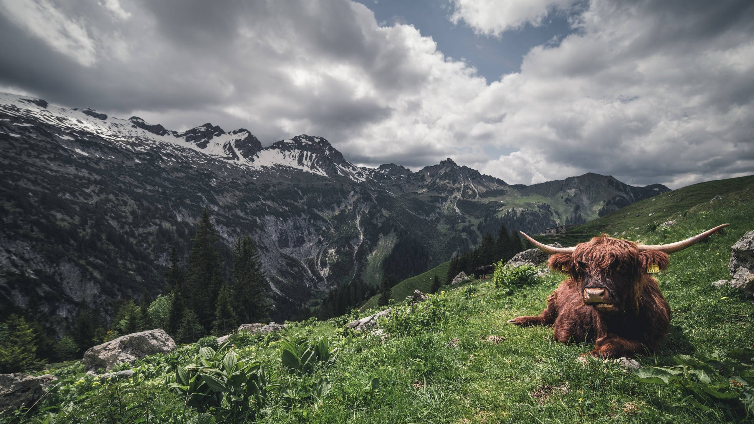爱游戏在线娱乐官网-阿根廷再夺冠军世界杯，阿根廷队世界杯冠军
